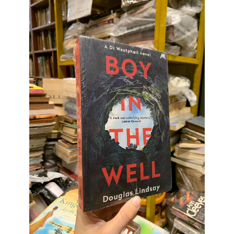 BOY IN THE WELL - Doughlas Lindsay 253008