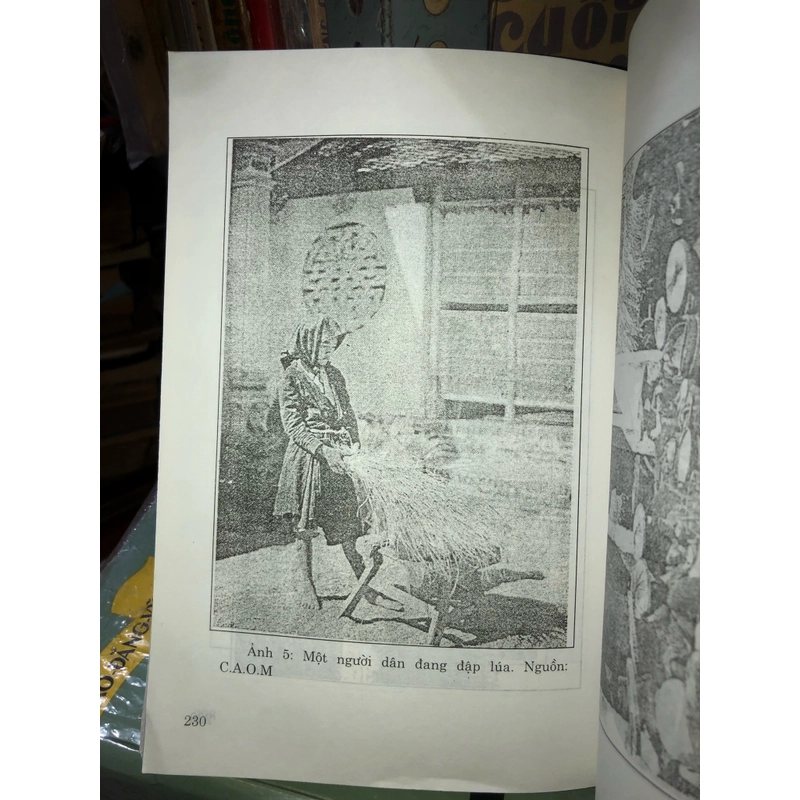 Cơ cấu kinh tế xã hội Việt Nam thời thuộc địa (1858 - 1945) - Nguyễn Văn Khánh 531724