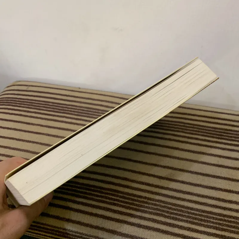 Người đua diều 1025840