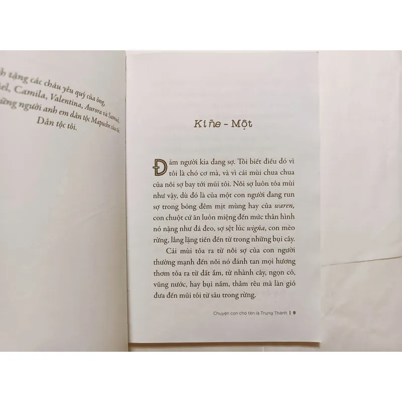 Chuyện Con Chó Tên Là Trung Thành 716477