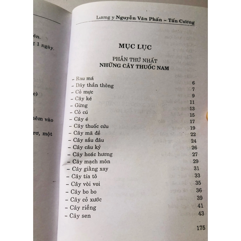 TỰ CHỮA BỆNH BẰNG CÂY THUỐC NAM THÔNG DỤNG DỄ TÌM  455909