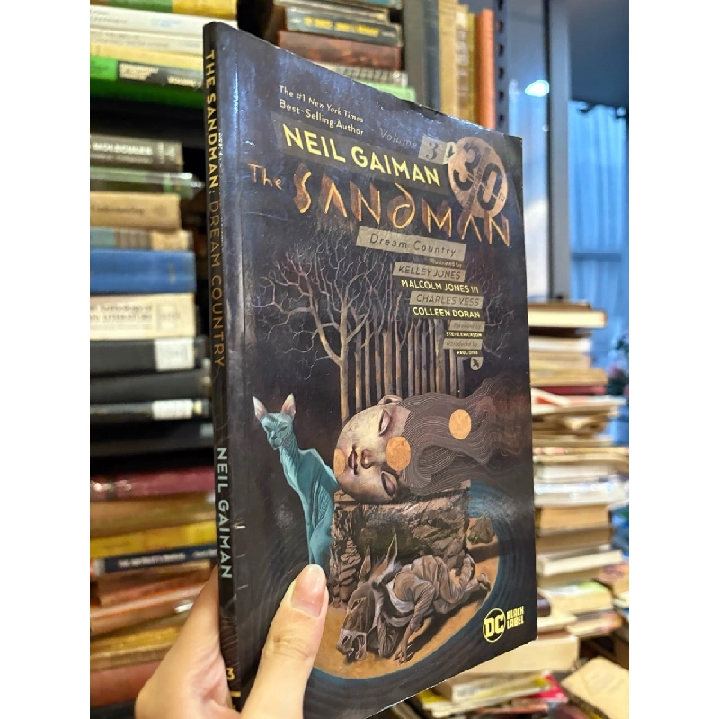 The Sandman - Neil Gaiman 1003462