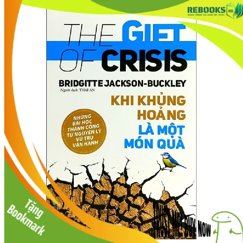 (TẶNG BOOKMARK) Khi khủng hoảng là một món quà - Bridgitte Jackson - 18/04/2022 (XB) 945963