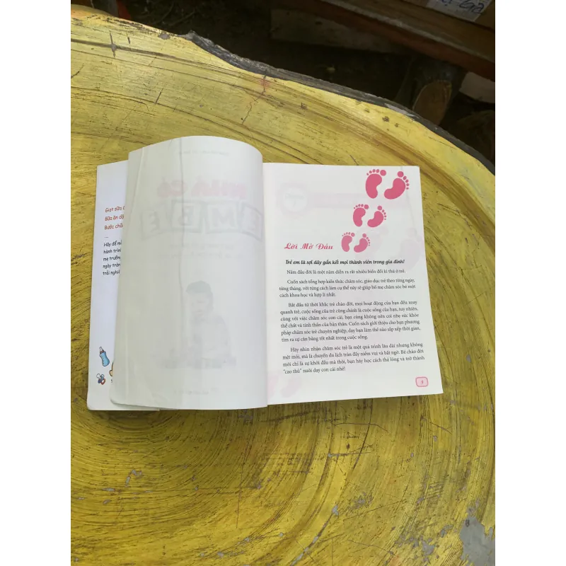 COMBO : NHÀ CÓ EM BÉ & DINH DƯỠNG TRẺ SƠ SINH VÀ TRẺ NHỎ TẶNG KÈM HAI CUỐN NUÔI CON 746490