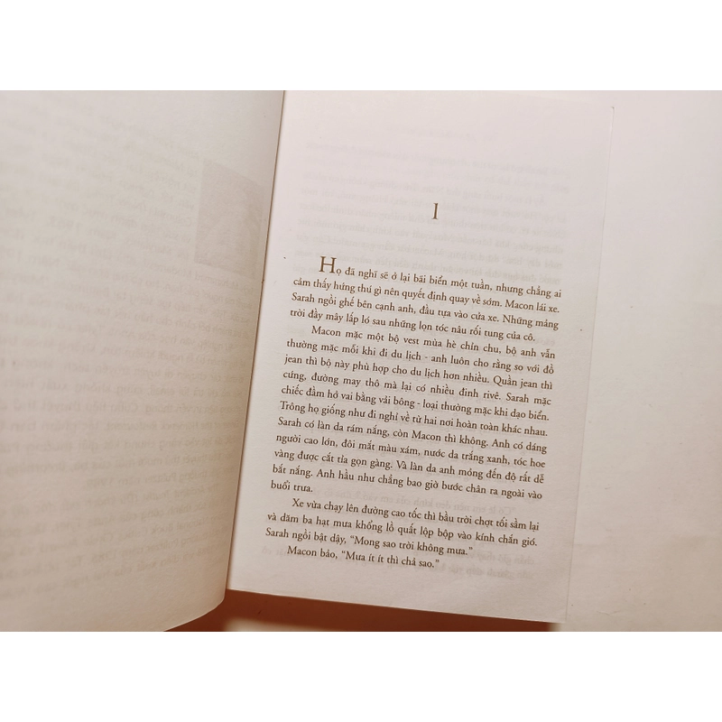 Du Khách Bất Đắc Dỹ - Anne Tyler  476993