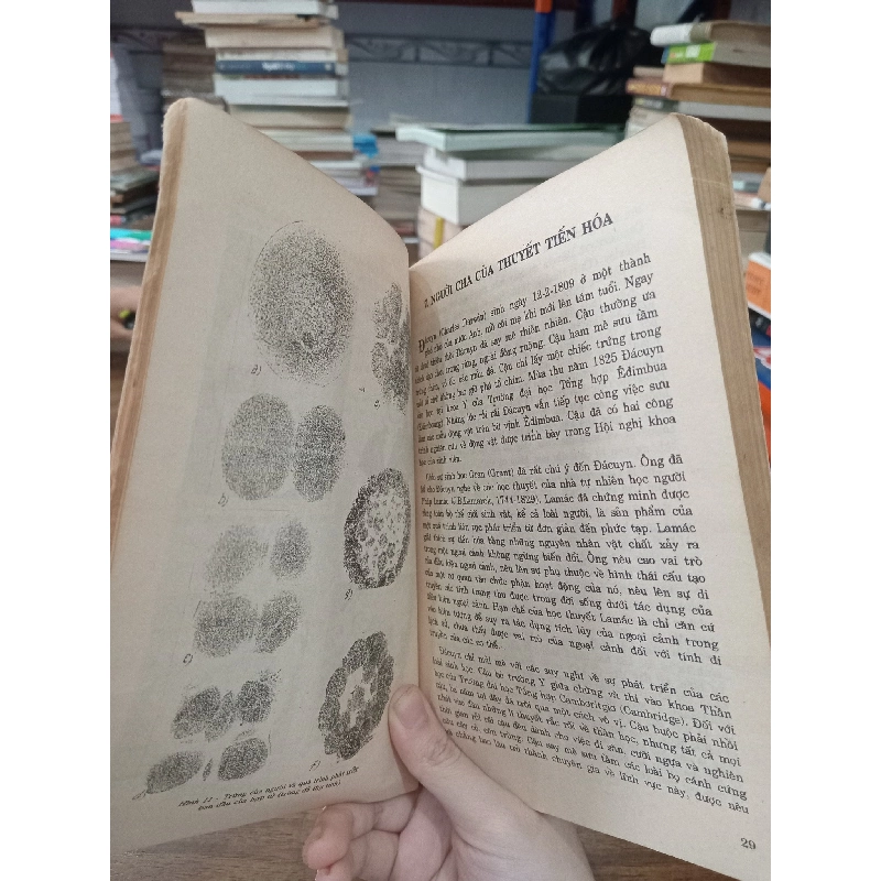 Truyện kể các nhà sinh học xuất sắc - Nguyễn Lân Dũng 495236