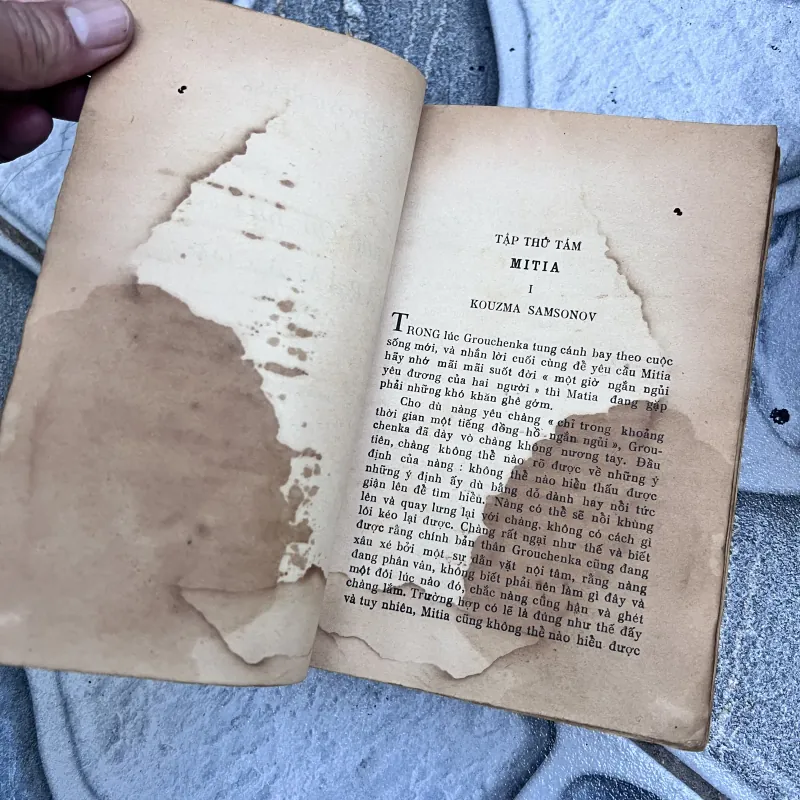 Anh em nhà karamazov - Trương Đình Cử (1972) 752773