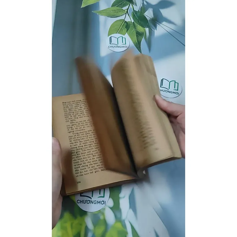 [MIỄN PHÍ BỌC SÁCH] [XƯA] Tiểu Thuyết Việt Nam Hiện Đại 2 (1978) - Phan Cự Đệ 776017