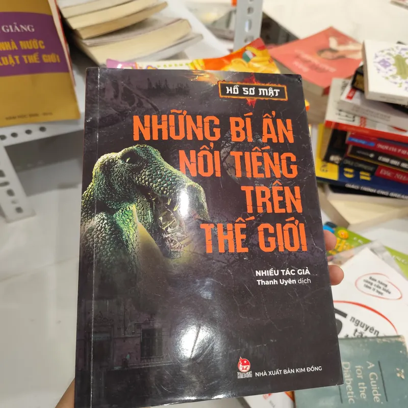 Những bí ẩn nổi tiếng trên thế giới  568834