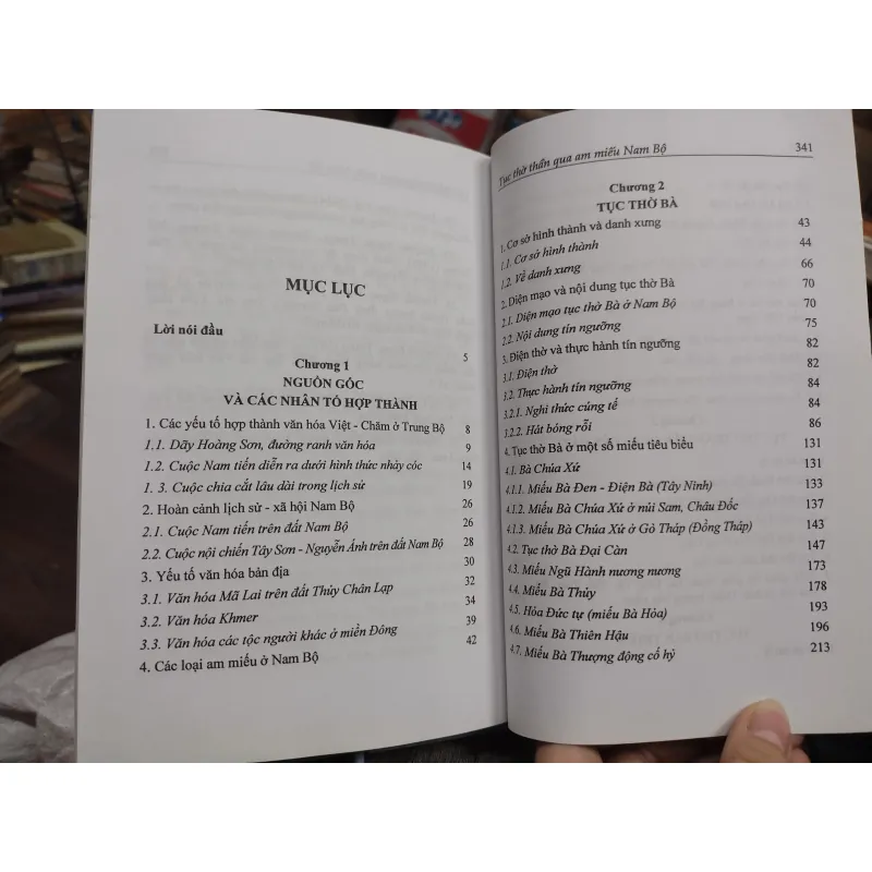 Sách: Tục thờ thần qua am miếu Nam Bộ - TG: Nguyễn Hữu Hiếu (A1) 733515