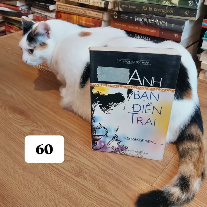 Anh bạn điển trai - Guy de Maupassant 925606