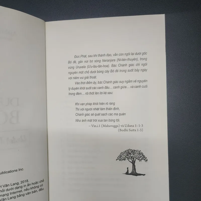 Dưới cội bồ đề - Ajahn Buddhadasa 689617