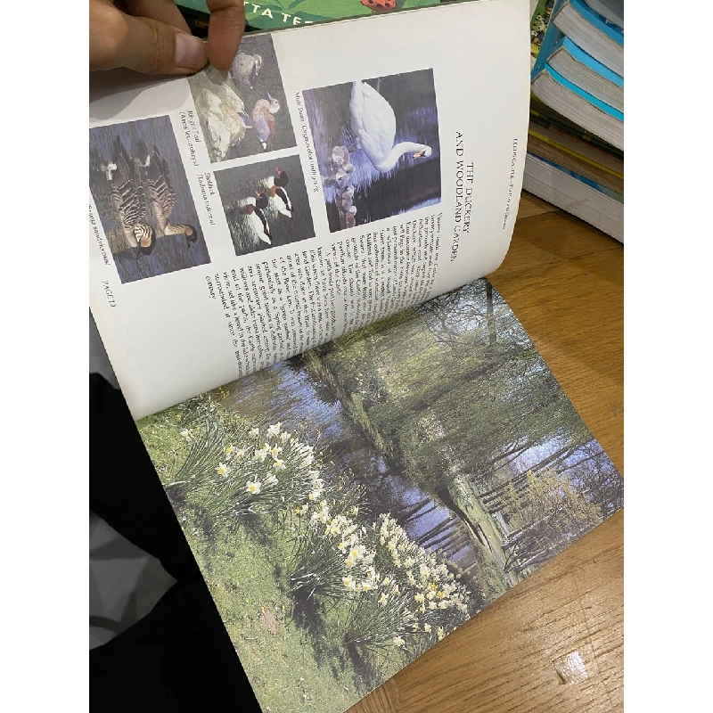 Leeds Castle - Maidstone Kent 550894