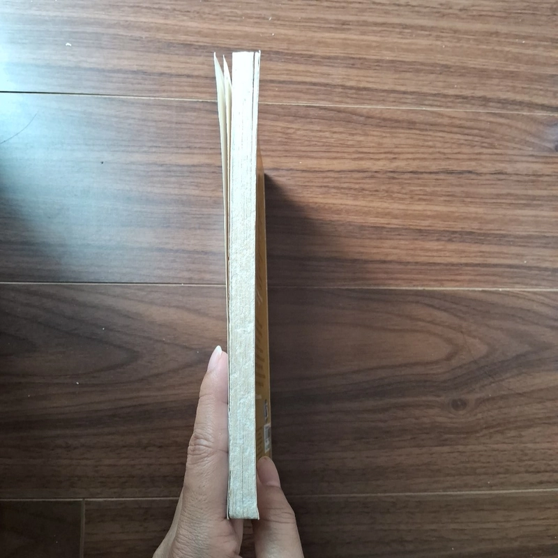 Ước mơ của bạn nhất định thành hiện thực 531674