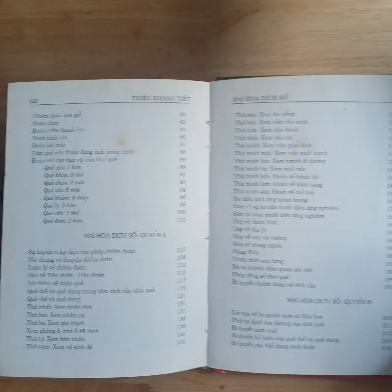 Mai Hoa Dịch Số - Thiệu Khang Tiết 1005355