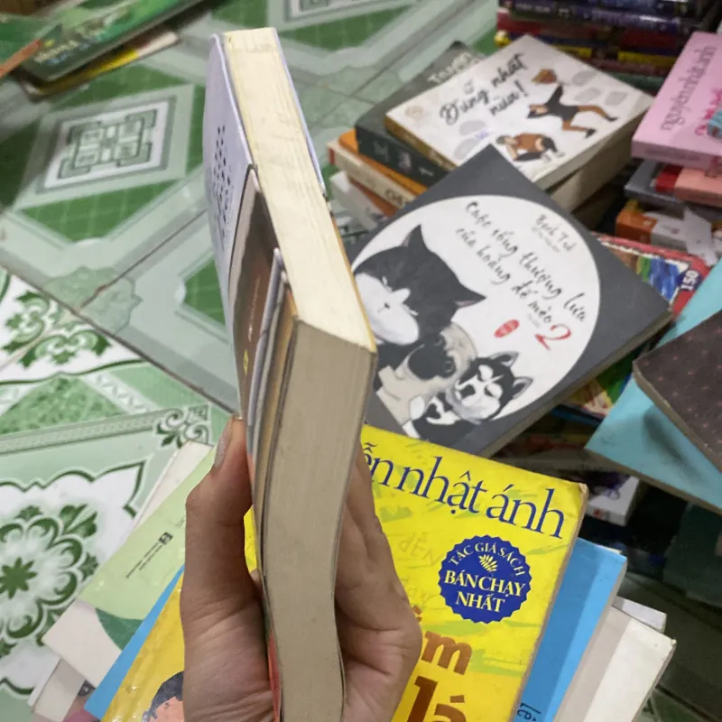 Chưa từng trải qua làm sao thấu hiểu  781374