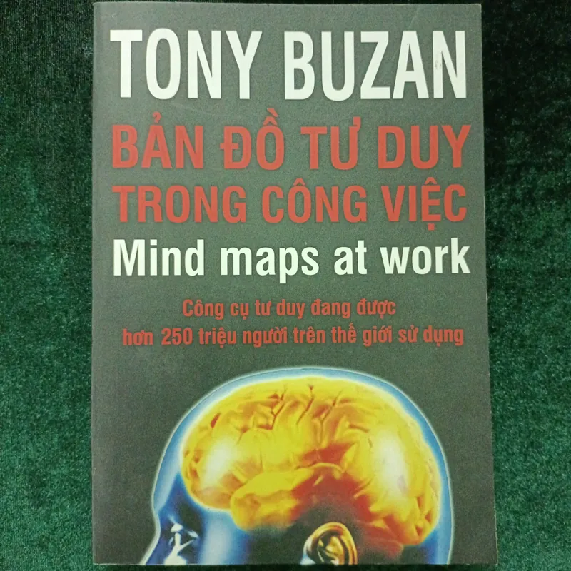 BẢN ĐỒ TƯ DUY TRONG CÔNG VIỆC  600995