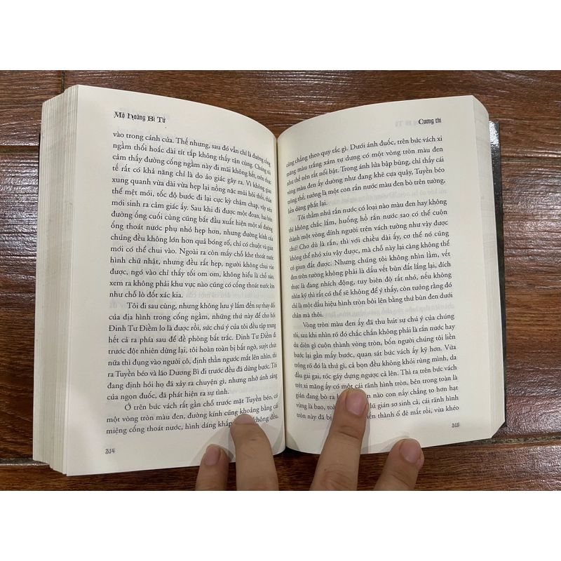 Ma thổi đèn - Mộ Hoàng Bì Tử - Thiên Hạ Bá Xướng (t4) 542005