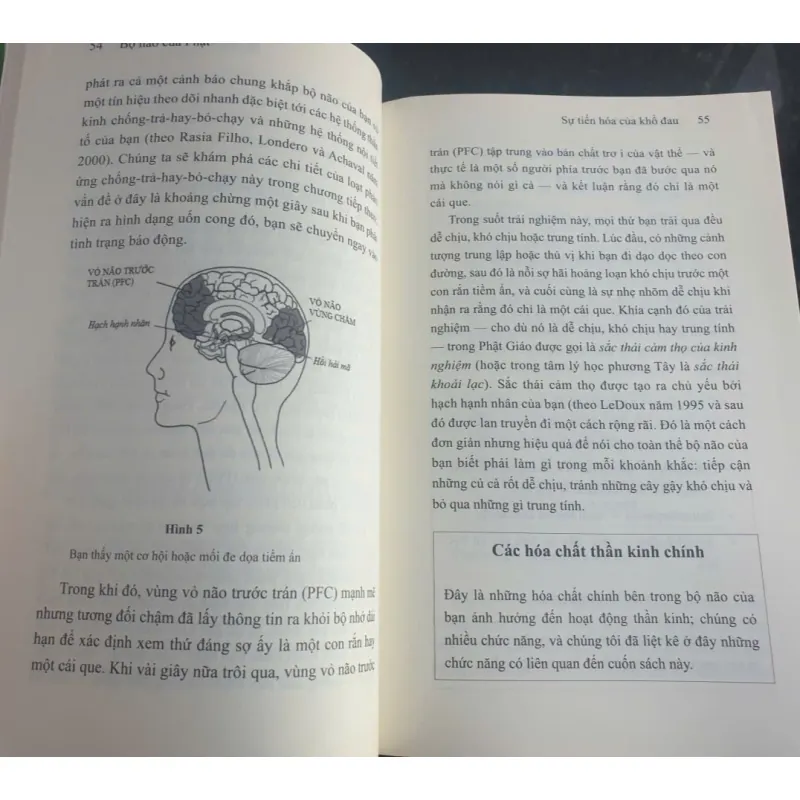 Bộ não của Phật - Hạnh phúc, Tình Thương và Trí tuệ 736981