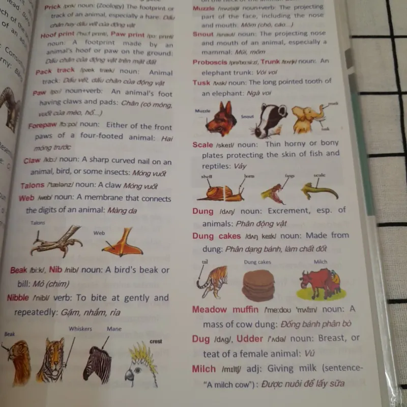 PEHAL THE START. Học từ vựng tiếng Anh bằng hình ảnh Chủ đề.Cb VIKRANT ROBIN 594678