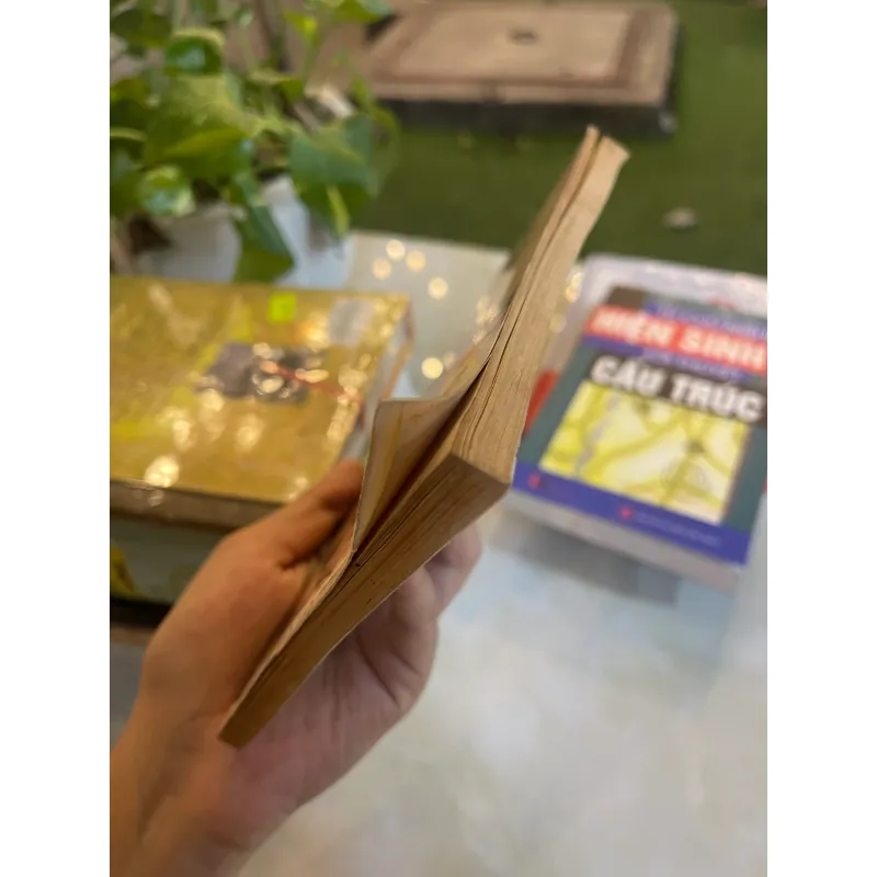 MẪU CÂU ĐỐI HOÀNH PHI THƯỜNG DÙNG - TÂN VIỆT, THIỀU PHONG 1030619
