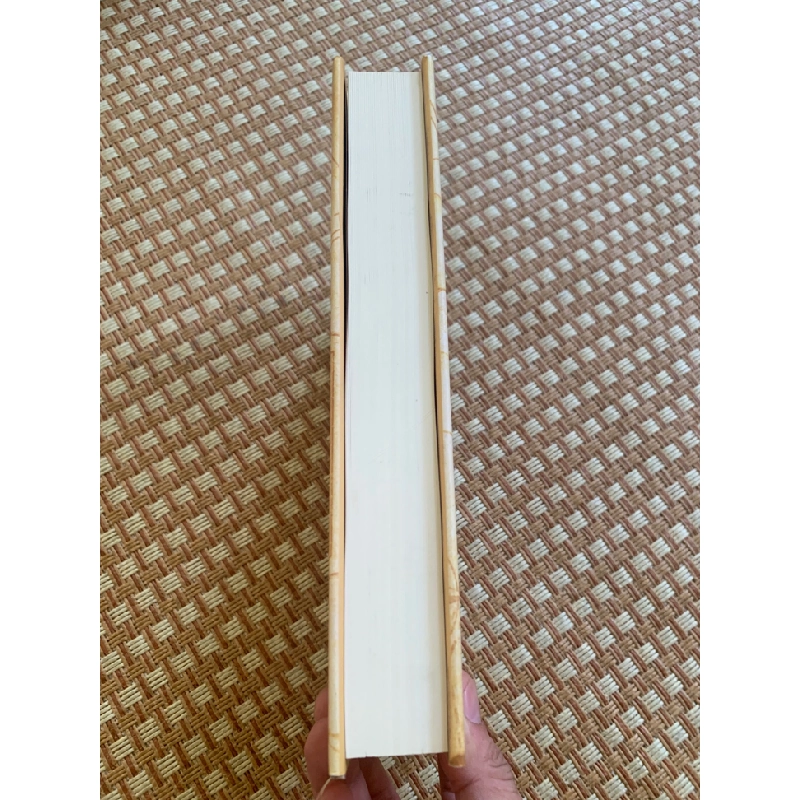 Phác Thảo về một triết học cho lịch sử thế giới ( bìa cứng 95% 2020) Tác giả Nguyễn Hữu Liêm STB2905 Triết Học 351780