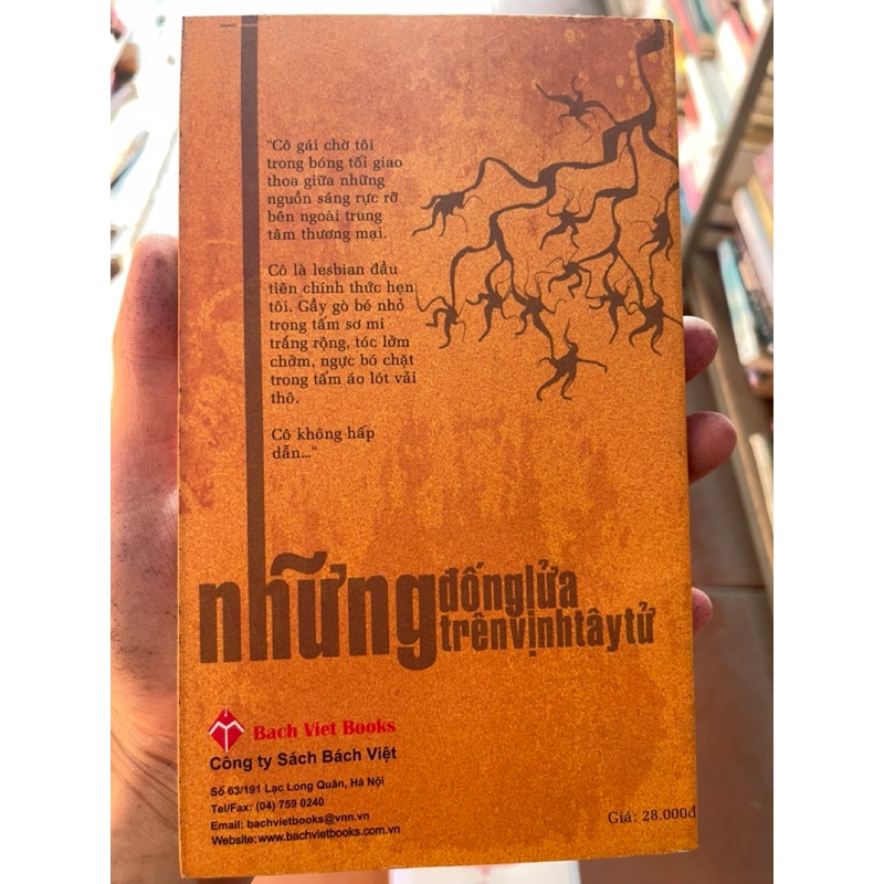 Những đống lửa trên vịnh tây tử 303545