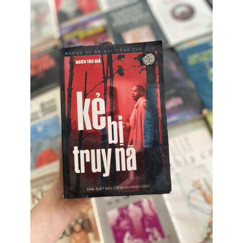 Kẻ bi truy nã 314985