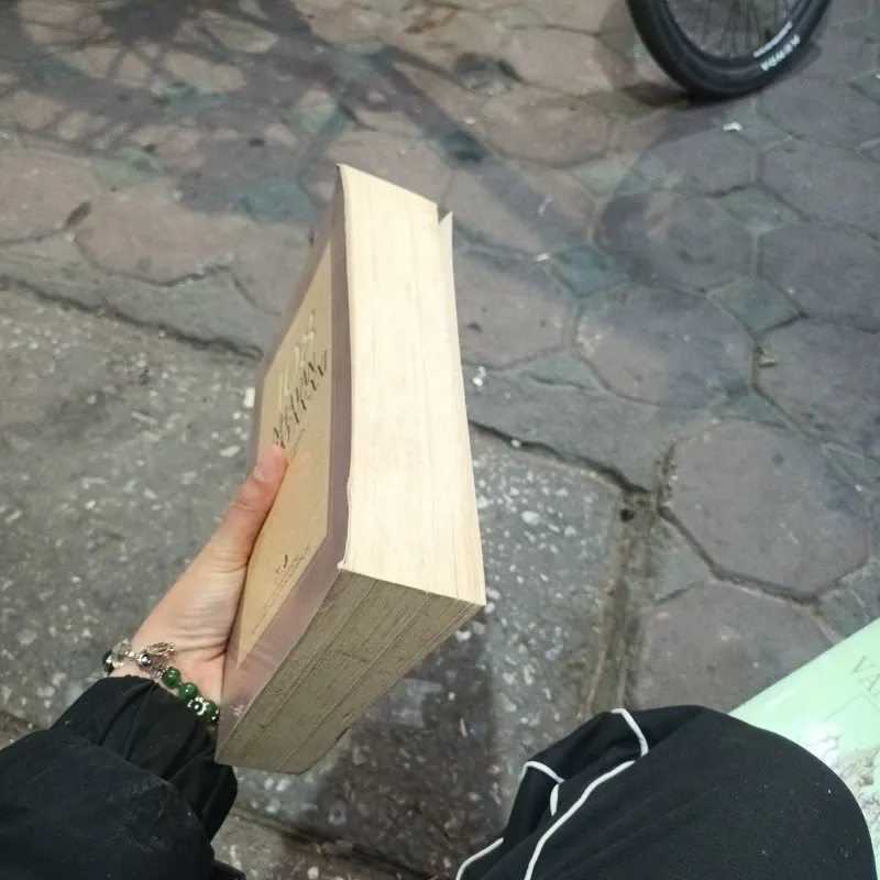 108 Nhà Văn Thế Kỷ XX- XXI - Đoàn Tử Huyến 759244