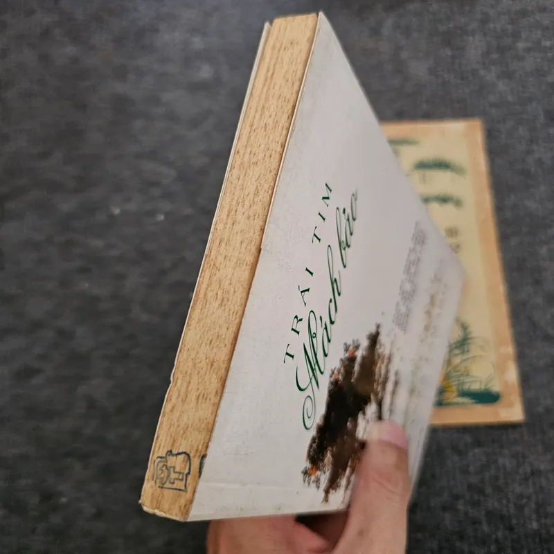 Trái tim mách bảo - Susanna Tamaro 734505