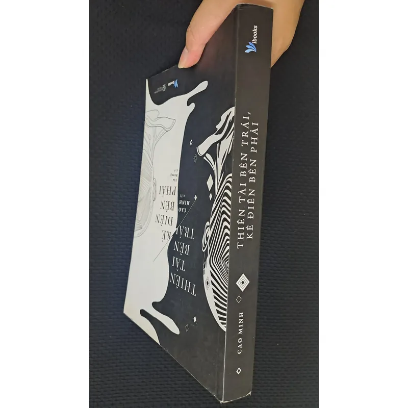 Thiên tài bên trái, kẻ điên bên phải - Cao Minh 722285