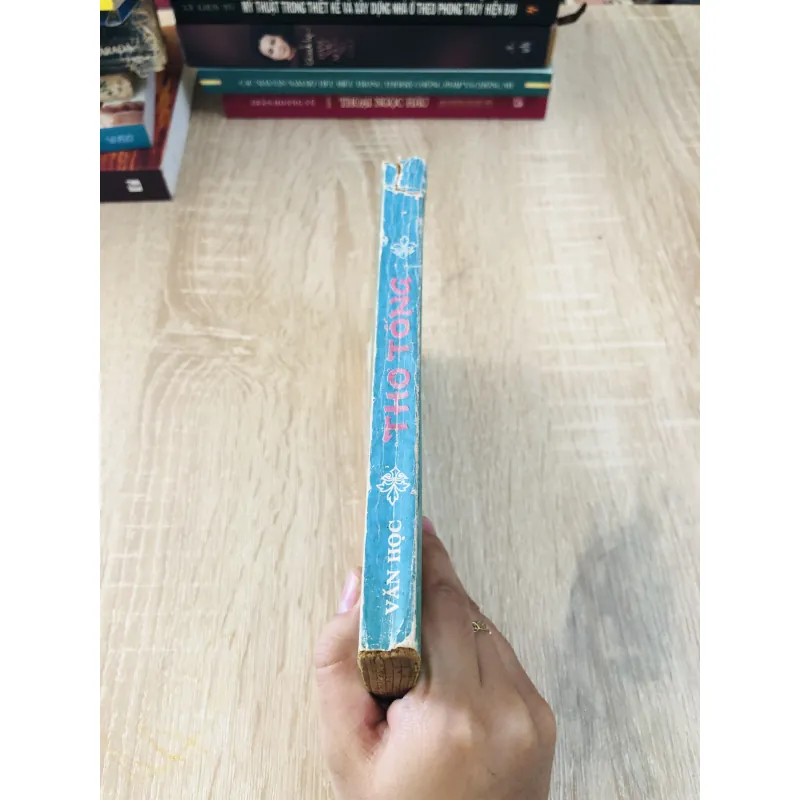 Thơ Tống - 240 trang, NXB 1991 925776