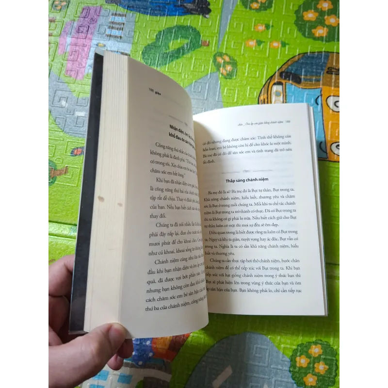 Giận -Thiền sư Thích Nhất Hạnh 779234