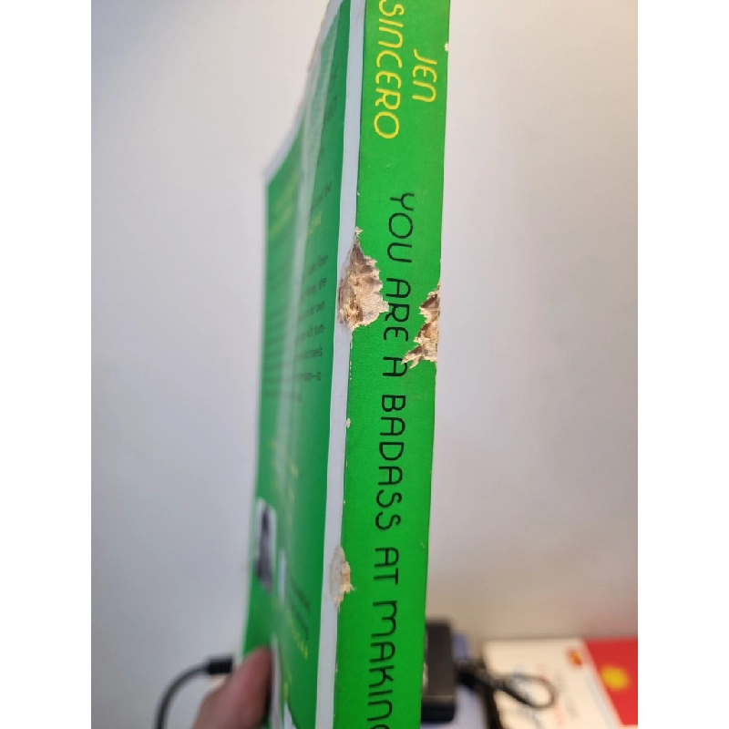 YOU ARE A BADASS AT MAKING MONEY : Master The Mindset of Wealth - Jen Sincero 193740
