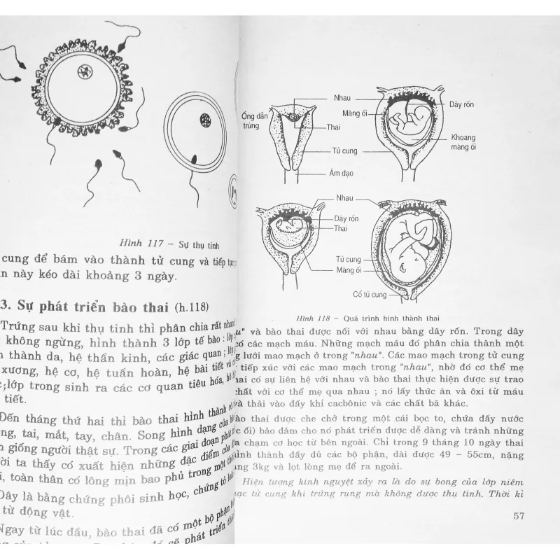 Sinh học lớp 9 xưa (Tập hai) 15839