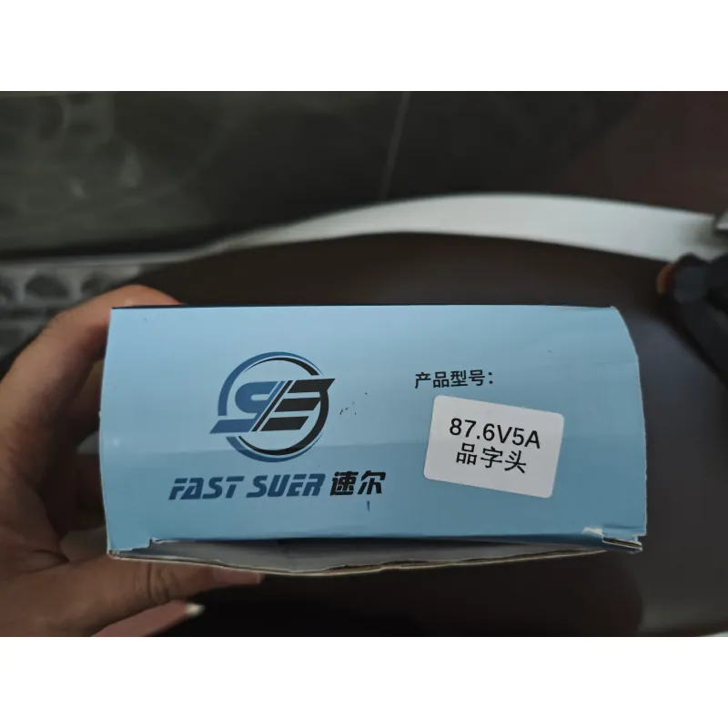 Sạc xe điện chạy pin Lithium 787635