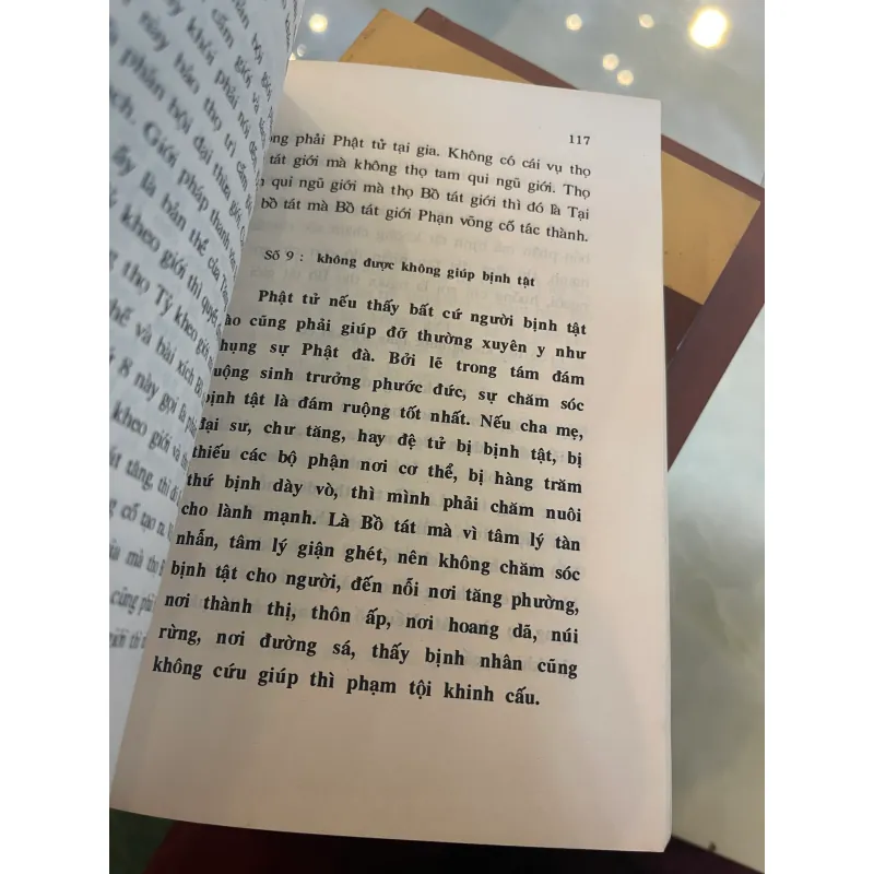 BỒ TÁT GIỚI: GIỚI PHÁP XUẤT GIA TẠI GIA - TRÍ QUANG dịch  1027559