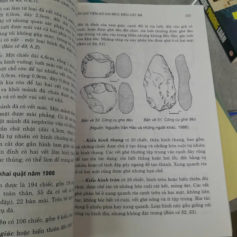 DI CHỈ TIỀN SỬ CÁI BÈO, ĐẢO CÁT BÀ - NGUYỄN KHẮC SỬ 789317