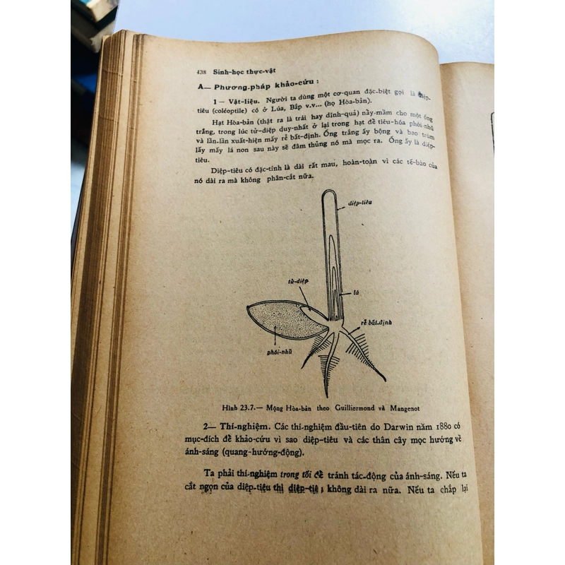 📚 SINH HỌC THỰC VẬT (Phạm Hoàng Hộ) 📚 503986