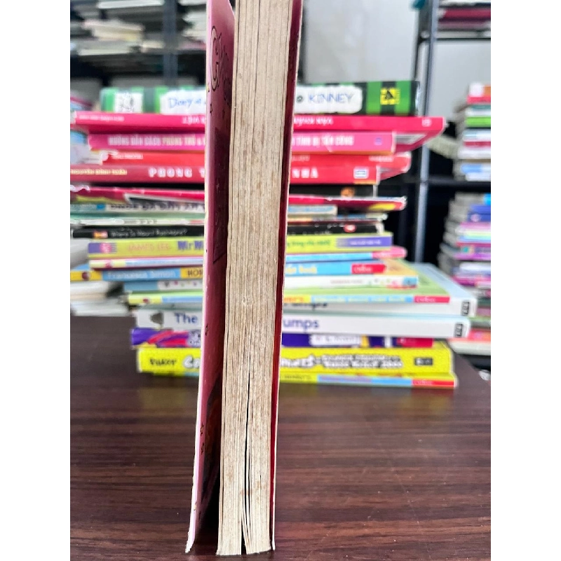 The Mum Hunt by Gwyneth Rees - Gwyneth Rees 957527