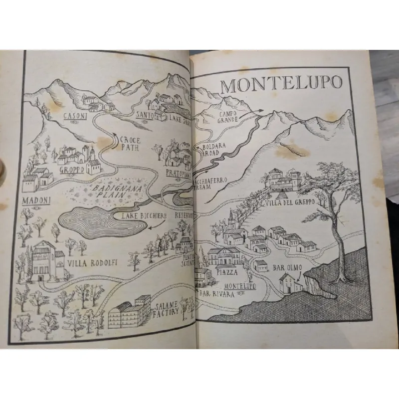 The dark valley - Valerio Varesi 703615