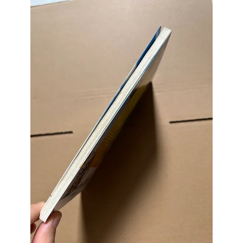 Chuyện con mèo dạy hải âu bay 704089