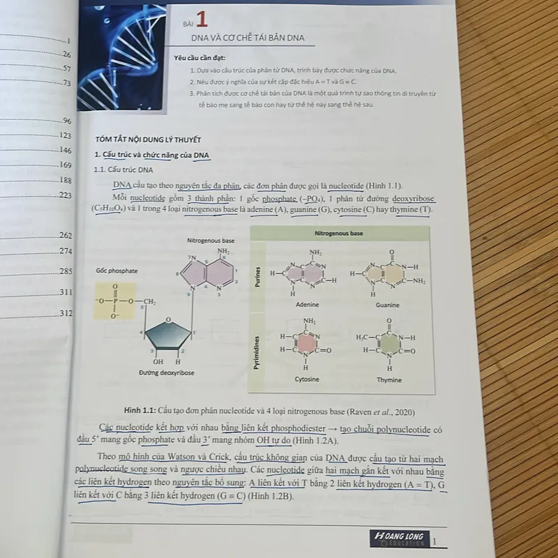 sách sinh học hoàng long 2024 tập 1 708594