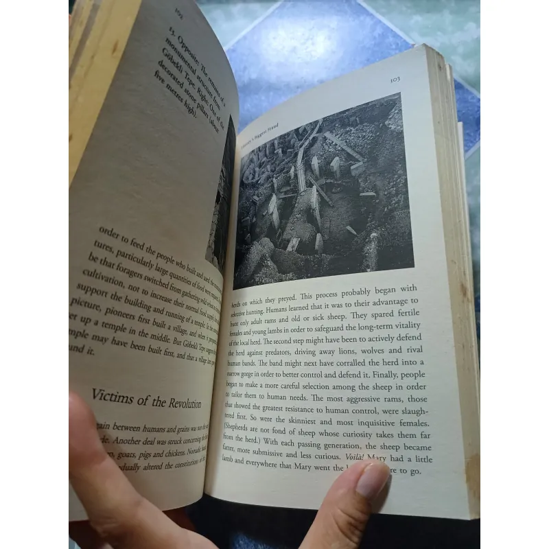 Sapiens - A brief history of humankind - Yuval Noah Harari 1011041