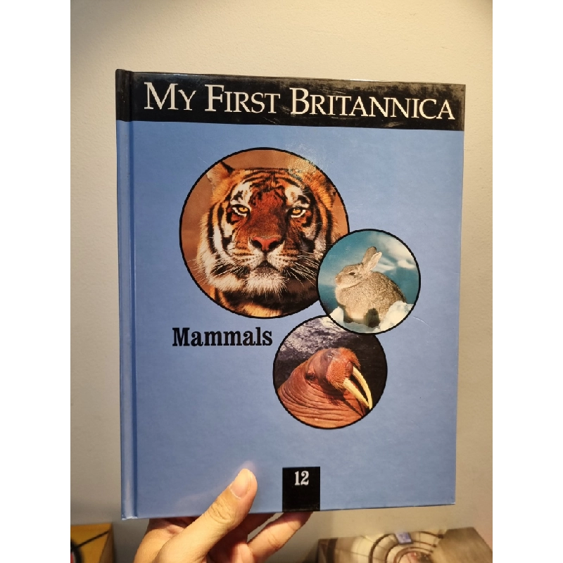 MY FIRST BRITANNICA : An Exciting reference set that brings Children, Parenting & Education Books	 the world and the universe beyond 362437