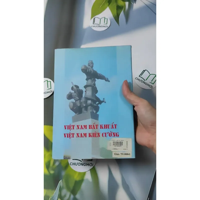 Việt Nam Bất Khuất - Việt Nam Kiên Cường - Hồng Lam Vũ Đình Hệ 928612