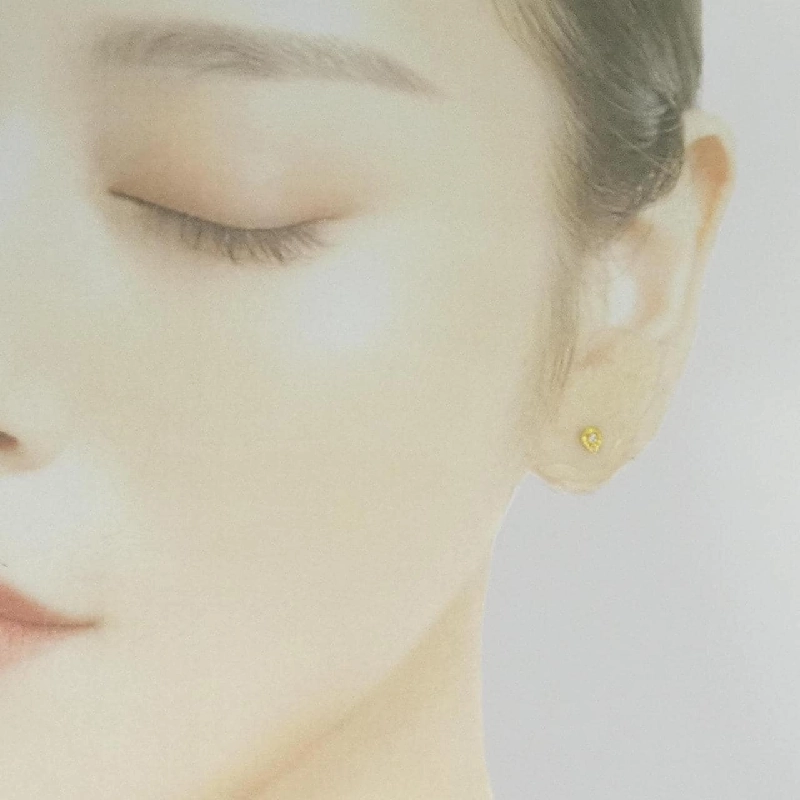 K18YG Bông tai kim cương - Hàng hiệu Chính hãng 864262