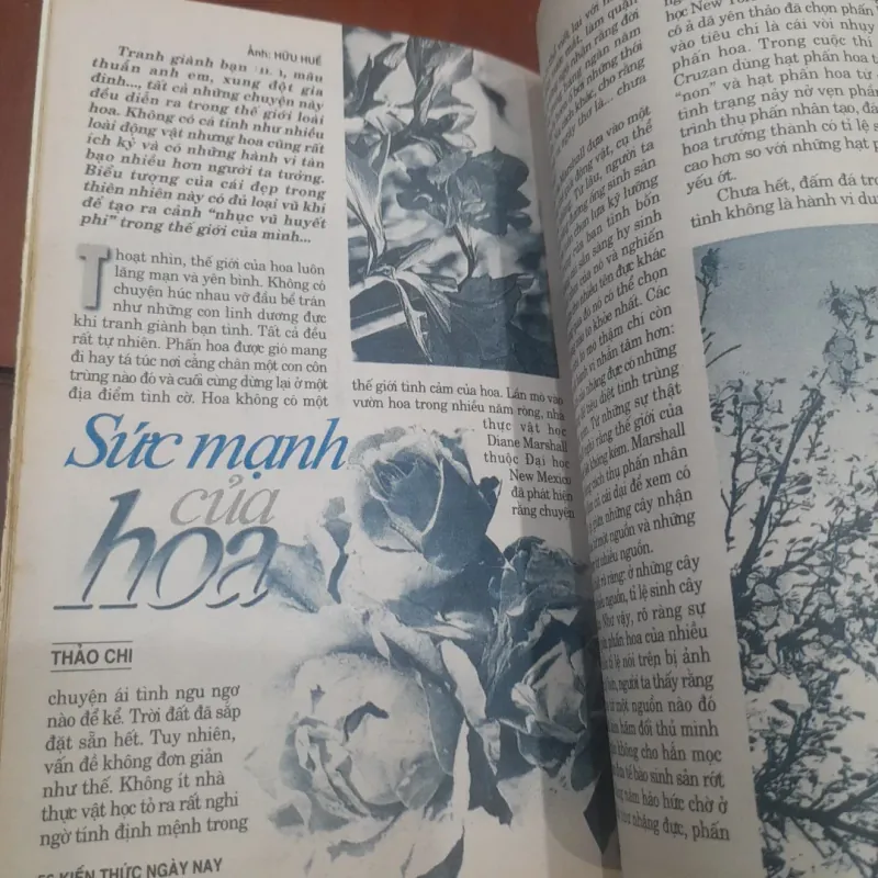 KIẾN THỨC NGÀY NAY số 341 ngày 1.2.2020 757278