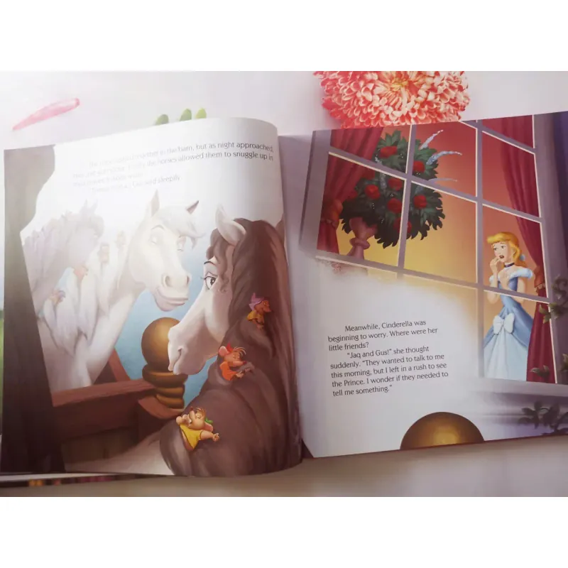 Disney Princess Storybook Collection 961402