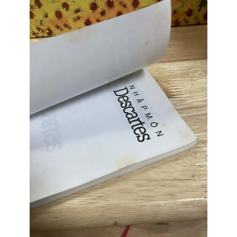 Nhập môn Descartes - Dave Robinson & Chris Garratt 1005095